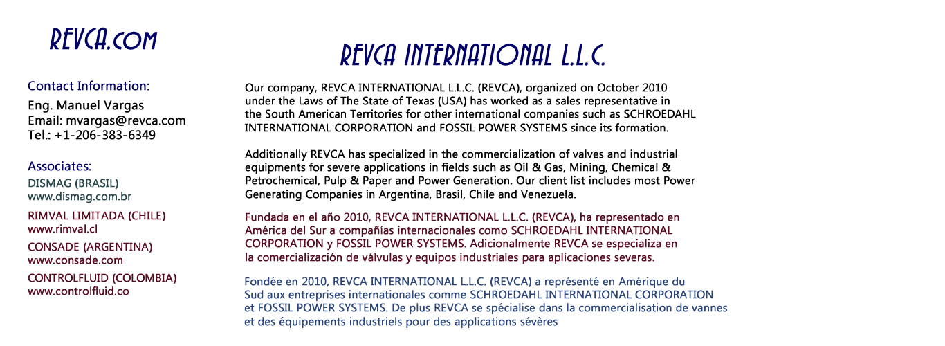 REVCA INTERNATIONAL LLC